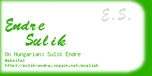endre sulik business card
